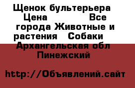 Щенок бультерьера › Цена ­ 35 000 - Все города Животные и растения » Собаки   . Архангельская обл.,Пинежский 